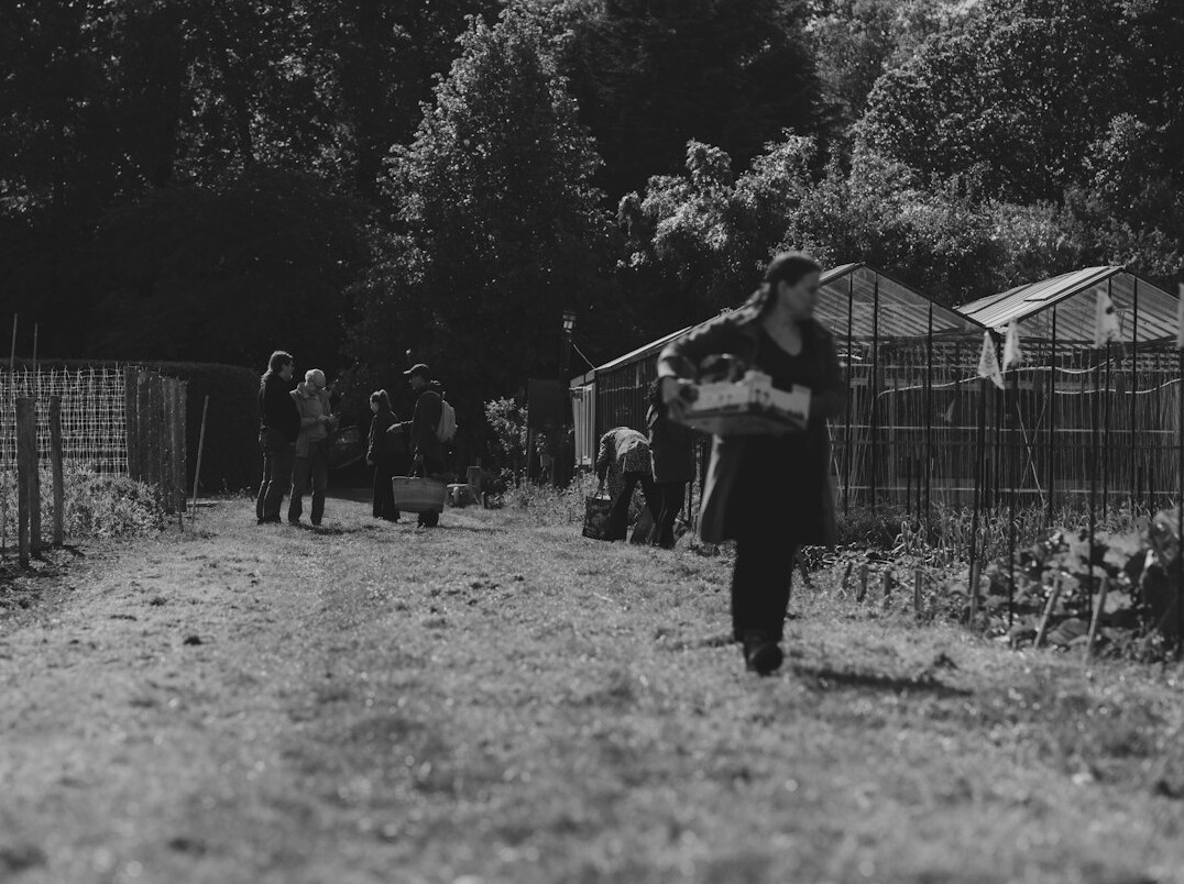 family working in vegetable garden