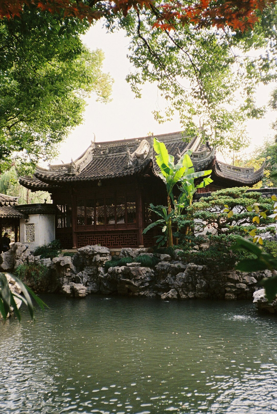 ancient traditional garden